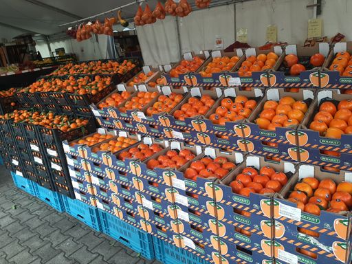 Einblick in den Südmarkt 6